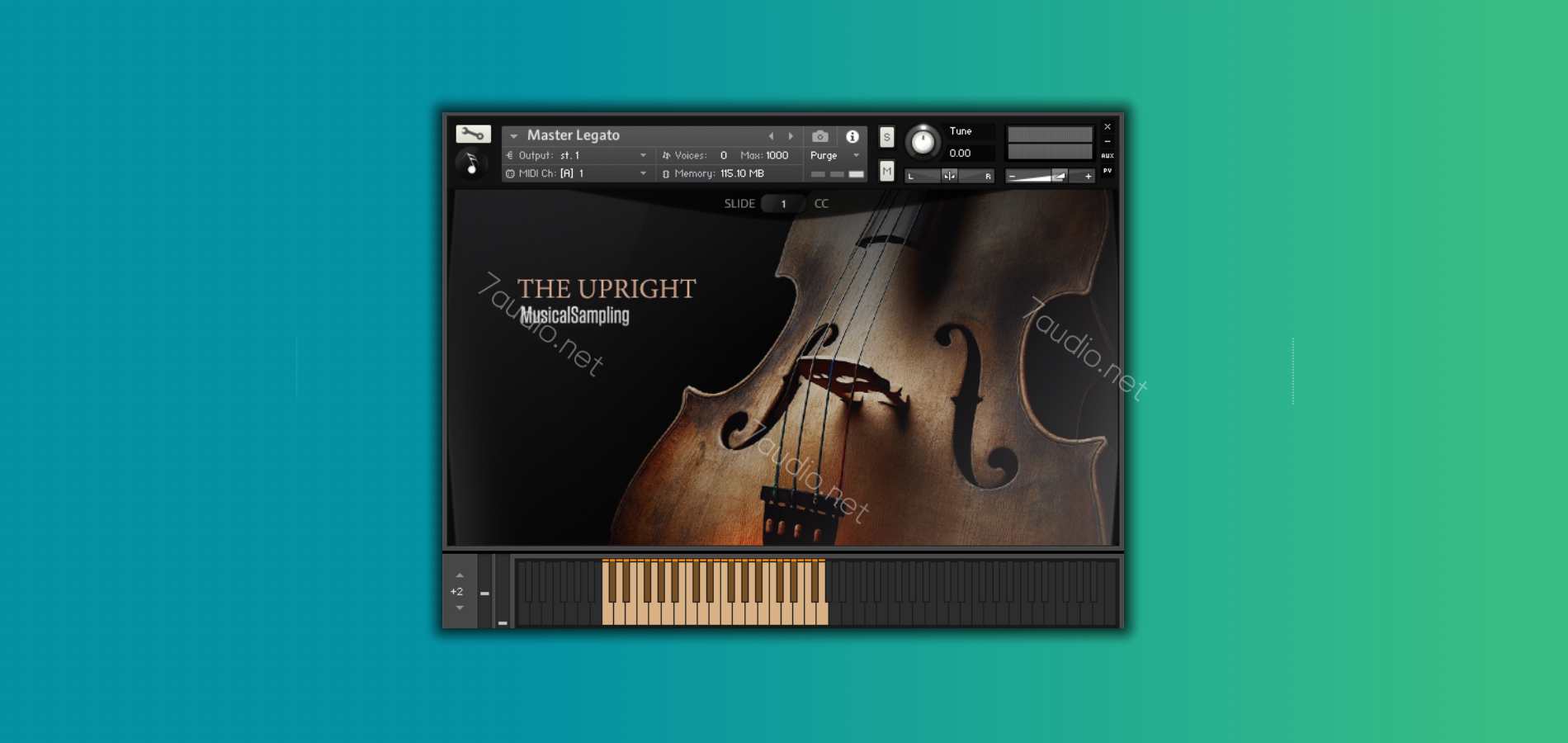 原声贝斯音源 Musical Sampling The Upright Kontakt-7audio