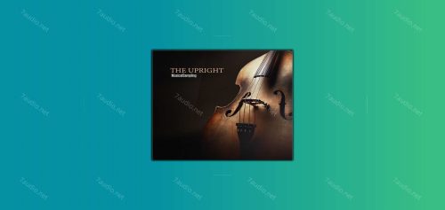 原声贝斯音源 Musical Sampling The Upright KONTAKT-7audio