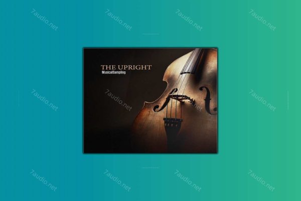 原声贝斯音源 Musical Sampling The Upright Kontakt-7audio
