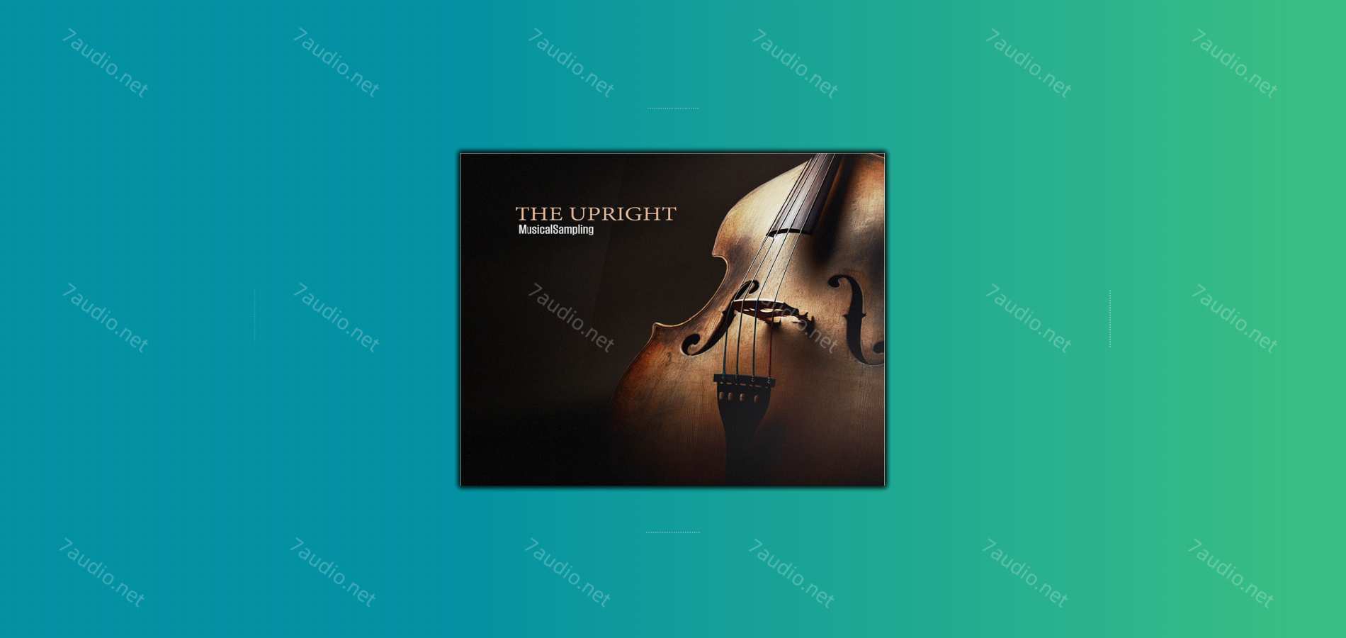 原声贝斯音源 Musical Sampling The Upright Kontakt-7audio