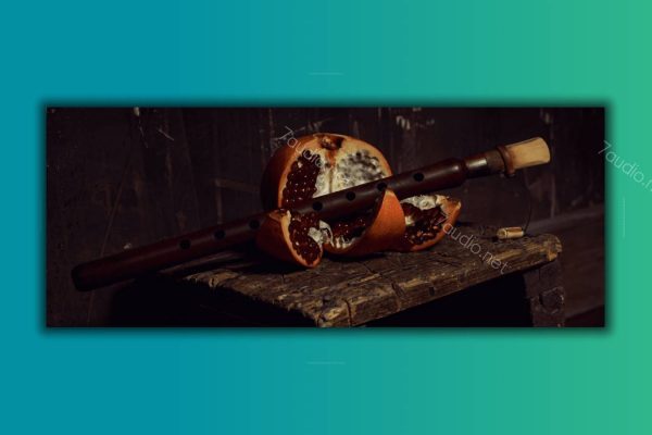 嘟嘟克笛音源 8Dio 3 Duduks Kontakt-7audio