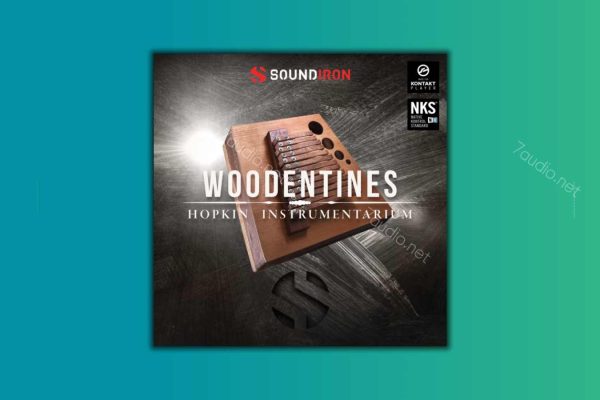 木质拨奏乐器 Soundiron Hopkin Instrumentarium Woodentines Konakt-7audio