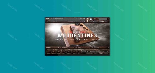 木质拨奏乐器 Soundiron Hopkin Instrumentarium Woodentines KONTAKT-7audio