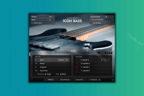 电贝司音源 Session Bassist Icon Bass Kontakt-7audio