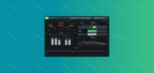 音频响度分析插件 iZotope Insight 2 v2.6.0 VR WIN-7audio