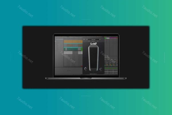 Wah音效果器 PolyChrome DSP Cry Boy v1.0 TCD WIN-7audio