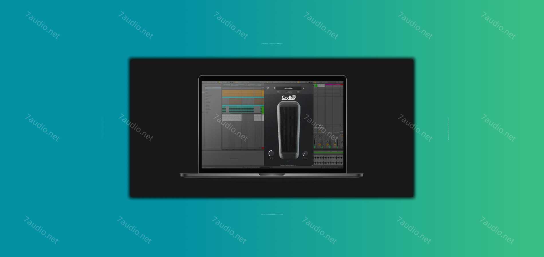 Wah音效果器 PolyChrome DSP Cry Boy v1.0 TCD WIN-7audio