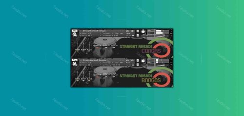 邦戈鼓/康加鼓音源 Straight Ahead Samples SA! Bongos & Congas KONTAKT-7audio