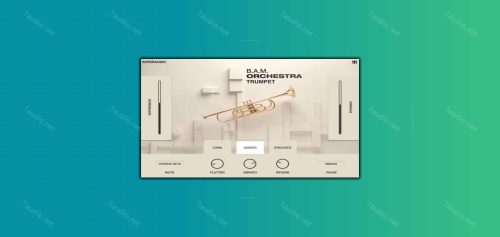 物理建模小号音源 SuperAudio B.A.M Orchestra Trumpet KONTAKT-7audio