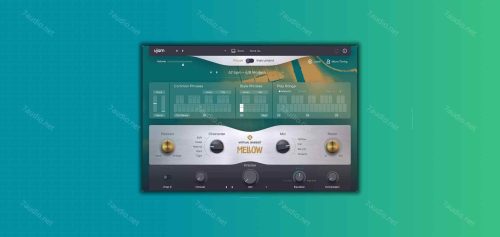 爵士原声贝斯音源插件 UJAM Virtual Bassist MELLOW v2.3.0 WIN-7audio