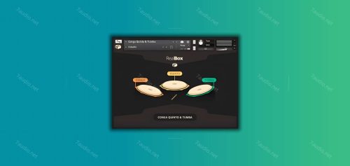 康加鼓音源 Conga Quinto and Tumba v1.0 KONTAKT-7audio