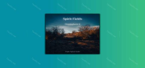 合成器预设 Triple Spiral Audio Spirit Fields for Omnisphere 2-7audio