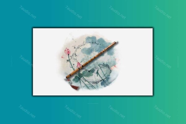 民乐音源合集 China Instruments v2024.12 WIN&MAC-7audio