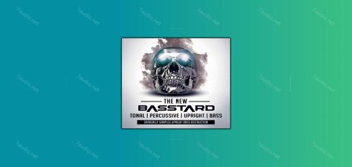 管弦乐低音采样音源 8Dio Basstard KONTAKT-7audio
