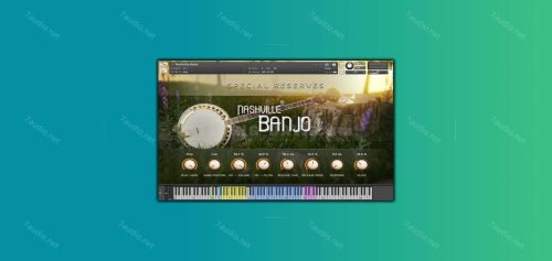 班卓琴音源 Impact Soundworks Special Reserves Nashville Banjo KONTAKT-7audio
