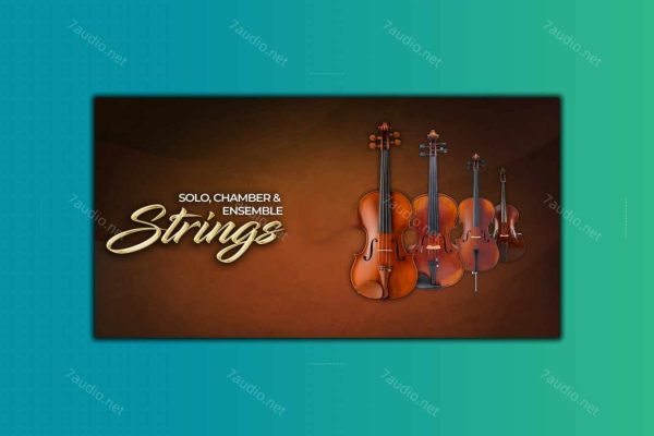 合奏独奏弦乐音源 Samplemodeling Solo Chamber & Ensemble Strings KONTAKT-7audio