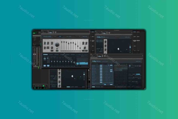 综合效果器合集 Fiedler Audio Bundle v2025.9 R2R WIN-7audio