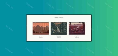 综合效果器套装 Aqeel Aadam Sound Plugin Bundle v2026.01 FLARE MacOS-7audio