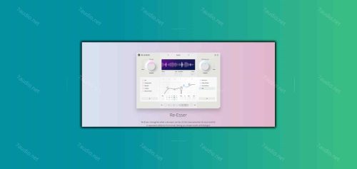 齿音消除器插件 Wavesfactory Re-Esser v1.0.2 MORiA MacOS-7audio